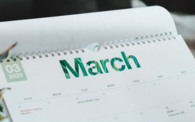 March 2019 Monthly Software Update News